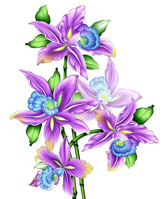 Кэтрин Клеин "Винтажные цветы" — лучшие картины с цветами, натюрморты из  Италии в интернет-магазине «Декор Тоскана»