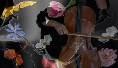 Особенности игры на виолончели: техника, приемы, советы - блог музыкальной  школы "ASnova" в Москве
