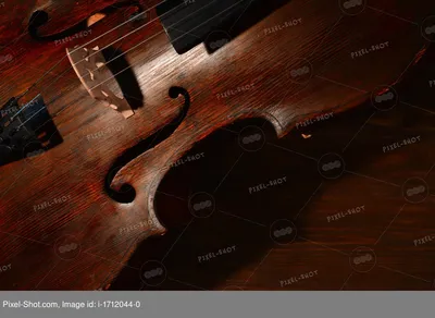 Размер 7/8, виолончель, красивая фотография, боковая ель, Топ | AliExpress
