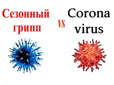 Вирус гриппа Калифорния (A/H1N1). Поможет ли русское «авось»? - статьи  компании «РАСТЕР»