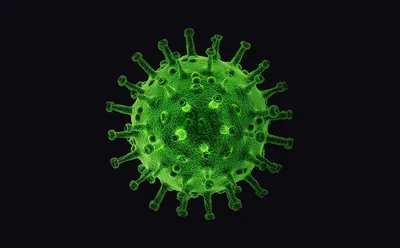 Иммунолог: вирус гриппа может принять пандемическую форму - Новости Тулы и  области - 