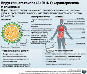 Поверхностные белки вируса гриппа А: как оставаться на плаву в океане  эволюции