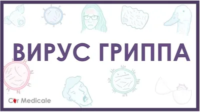 Вирус гриппа - микробиология, виды, симптомы, диагностика, вакцинация,  лечение - YouTube