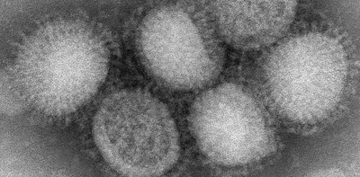 Вирус гриппа» — создано в Шедевруме
