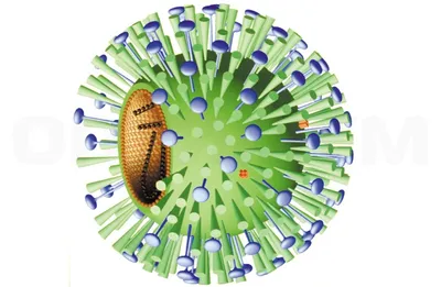 Маленький и милый вирус гриппа с …» — создано в Шедевруме