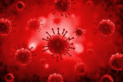 Профилактика гриппа, ОРВИ и новой коронавирусной инфекции