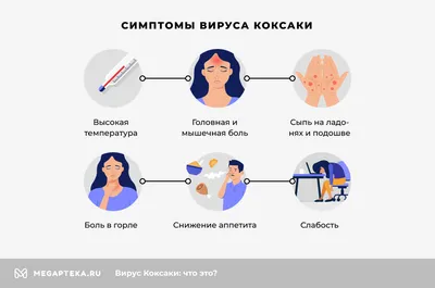 Вирус Коксаки: симптомы и лечение у детей