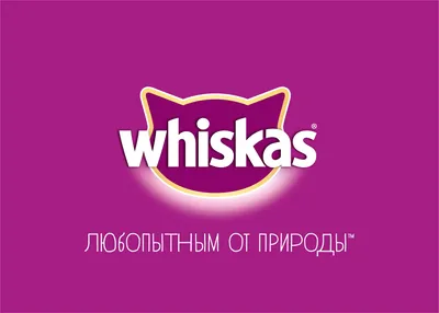 Реклама Whiskas " Жизнь замурррчательна " - YouTube