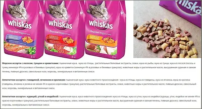 Whiskas обновил бренд и запустил «замурррчательную» кампанию | Креатив |  Новости | 