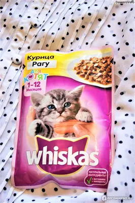 Сухой корм Whiskas для кошек – купить Вискас для котят в 