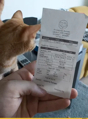 Сухой корм Whiskas для кошек, лосось, подушечки, 350 г (1144646) - Купить  по цене от  руб. | Интернет магазин 