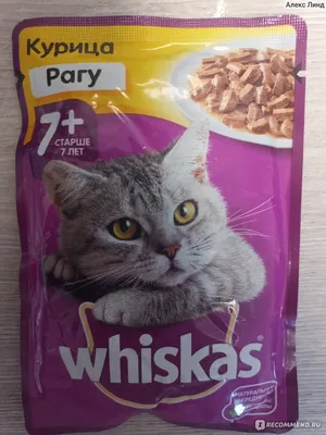 Корм для кошек старше 7 лет Whiskas Рагу с курицей 7+ - «Сравнение старого  и нового Вискаса! Стал ли состав хуже? Что выберут коты?» | отзывы