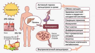 Витамин Д для детей | Детская городская больница