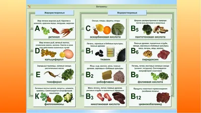 Витамины А, В, Е, D в продуктах питания | BURO.