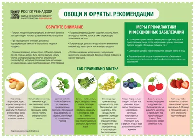 Купить комплект плакатов Витамины в продуктах питания (4 плаката Фрукты,  Овощи, Зерновые и бобовы, цены на Мегамаркет | Артикул: 100025986730