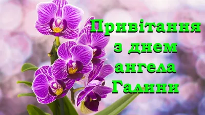 День ангела Галини: як привітати близьку людину, картинки, проза, вірші —  Укрaїнa