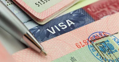 U.S. Visa Applications, Explained