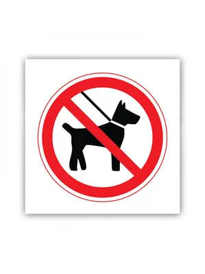 Табличка "Вход с напитками, на роликах, с собаками запрещен" А5 (20х15см),  20 см, 15 см - купить в интернет-магазине OZON по выгодной цене (1177857950)