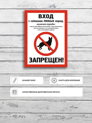 Табличка "Вход с собаками любых пород запрещен" А4 (30х21см), 30 см, 21 см  - купить в интернет-магазине OZON по выгодной цене (1099624341)