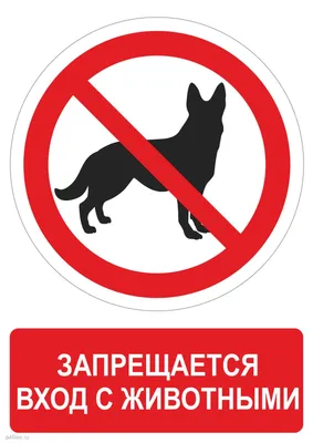 Знак "Вход с собаками запрещен" – купить за 30 ₽ | rusample
