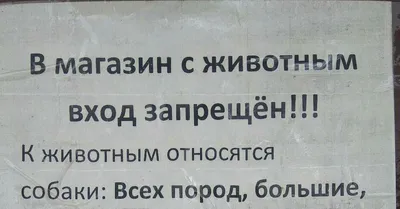 Табличка Вход с собаками и мороженым запрещен, маленькая, цена в Москве от  компании Торговое оборудование б/у и новое