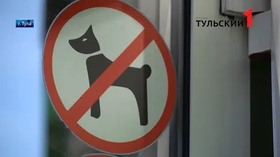 Знак: вход с собаками запрещен - презентация онлайн