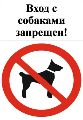 Вход запрещен: почему в магазины нельзя заходить с собаками |  |  Дзен