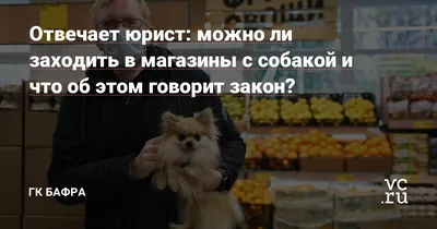 Наклейка, DANGER DOG, Вход с собаками запрещён, 15х15 см купить по выгодной  цене в интернет-магазине OZON (849445999)