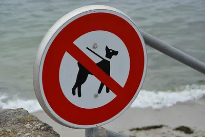 Металлическая информационная табличка «Вход с собаками, животными запрещен»  пиктограмма (ID#1520059723), цена: 498 ₴, купить на 