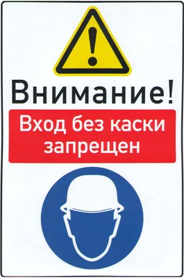 Вход с улицы» от «Ночлежки»: как устроен первый ресторан транзитного  трудоустройства в России | 