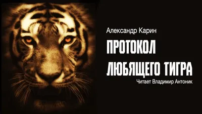 Голоса, которые слышали все. Как выглядят актеры дубляжа. Голоса Де Ниро,  Джоли, Арни и... Алисы от Яндекса | This is 🎬 Kино | Дзен