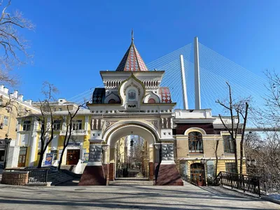 Владивосток стал столицей Дальнего Востока — РБК