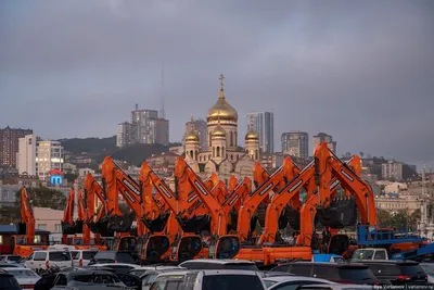 Здравствуй, город у моря, Владивосток (с экскурсиями по Сафари-парку,  бухтам Уссурийского залива, посещением музея Женьшеня, Приморского  Океанариума и шоу морских млекопитающих, 5 дней + авиа) - Дальний Восток  (Приморский край и Владивосток)