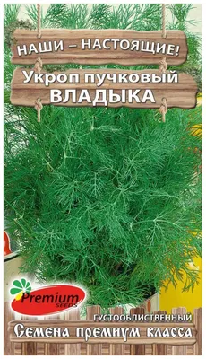 Однушка Героя и Владыки Демонов 1 уровня Глава 34 Том 6