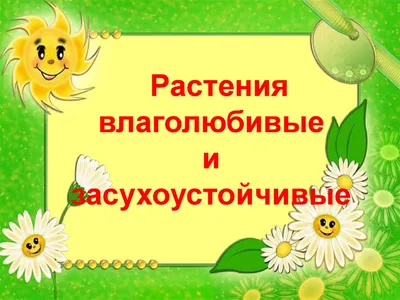 Сингониумы-тепло- и влаголюбивые растения Набор из 7 растений: 350 грн. -  Комнатные растения Глухов на Olx