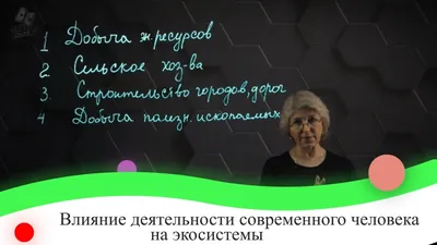 11. ГЕОЭКОЛОГИЧЕСКИЕ ОСОБЕННОСТИ БИОСФЕРЫ