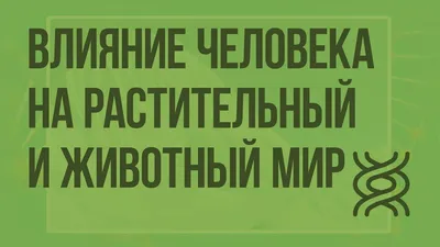 Влияние человека на окружающую среду может быть полезным. Ученые проверили,  как восстанавливается природа после утечки нефтепродуктов - Российская  газета