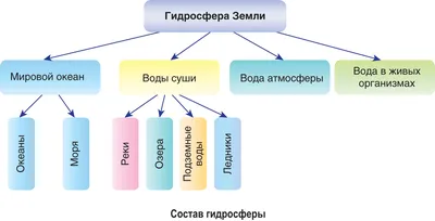 Проект Влияние пластикового загрязнения на человека и биосферу | Рефераты  Основы безопасности жизнедеятельности (ОБЖ) | Docsity