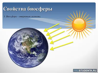 Влияние деятельности человека на биосферу - презентация онлайн