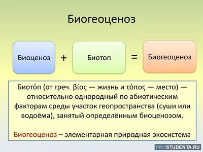 ВЛИЯНИЕ СОСТОЯНИЯ БИОСФЕРЫ НА ЗДОРОВЬЕ ЧЕЛОВЕКА – тема научной статьи по  психологическим наукам читайте бесплатно текст научно-исследовательской  работы в электронной библиотеке КиберЛенинка