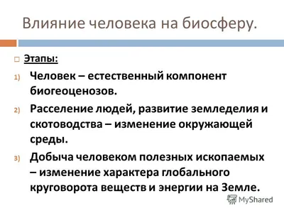 Биосфера и ноосфера Владимир Вернадский - купить книгу Биосфера и ноосфера  в Минске — Издательство АСТ на 