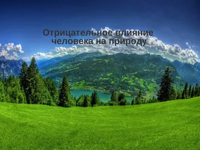 4. Проанализируйте отрицательное влияние человека на природу в  вашемрегионе. Определите последствия - Школьные Знания.com