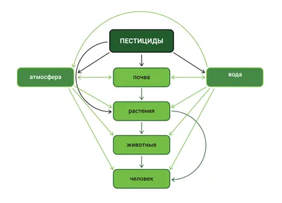 Помогите пожалуйста очень при очень нужно!!! примеры влияния человека на  природу. Первый столбик - Школьные Знания.com