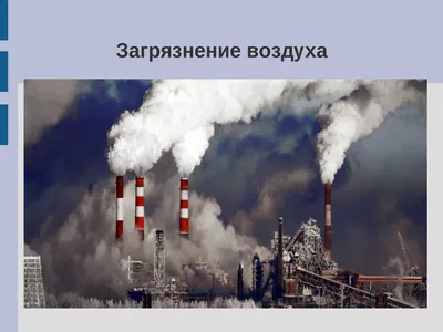 В бухте Тихой изучают влияние человека на природу Арктики - РИА Новости,  