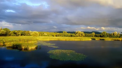 ВЛИЯНИЕ ЧЕЛОВЕКА НА ПРИРОДУ. ПРОБЛЕМЫ ОХРАНЫ ПРИРОДЫ. ЗАПОВЕДНИКИ И Н