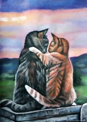 Loving cats. Влюблённые коты. PNG. в 2023 г | Кошки и котята, Самые милые  животные, Кошачьи