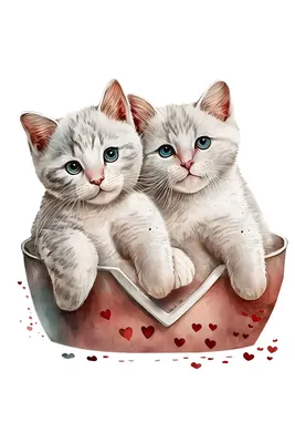 Loving cats. Влюблённые коты. PNG. | Котята, Дымчатый леопард, Кот