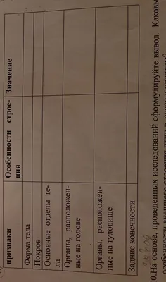 41-42. Класс Птицы. Среда обитания и внешнее строение птиц. Скелет и  мускулатура птиц