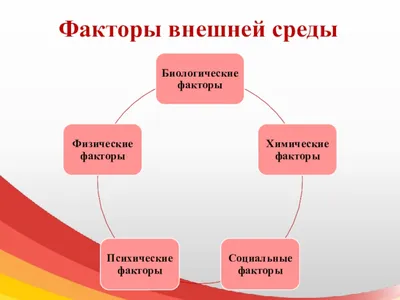 Встреча с элементами дискуссии "Как мы меняем планету? Человек и окружающая  среда в эпоху антропоцена"