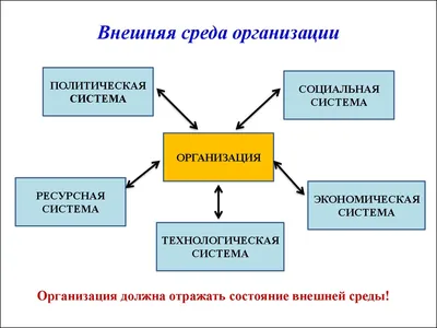 4.2. Внешняя среда организации